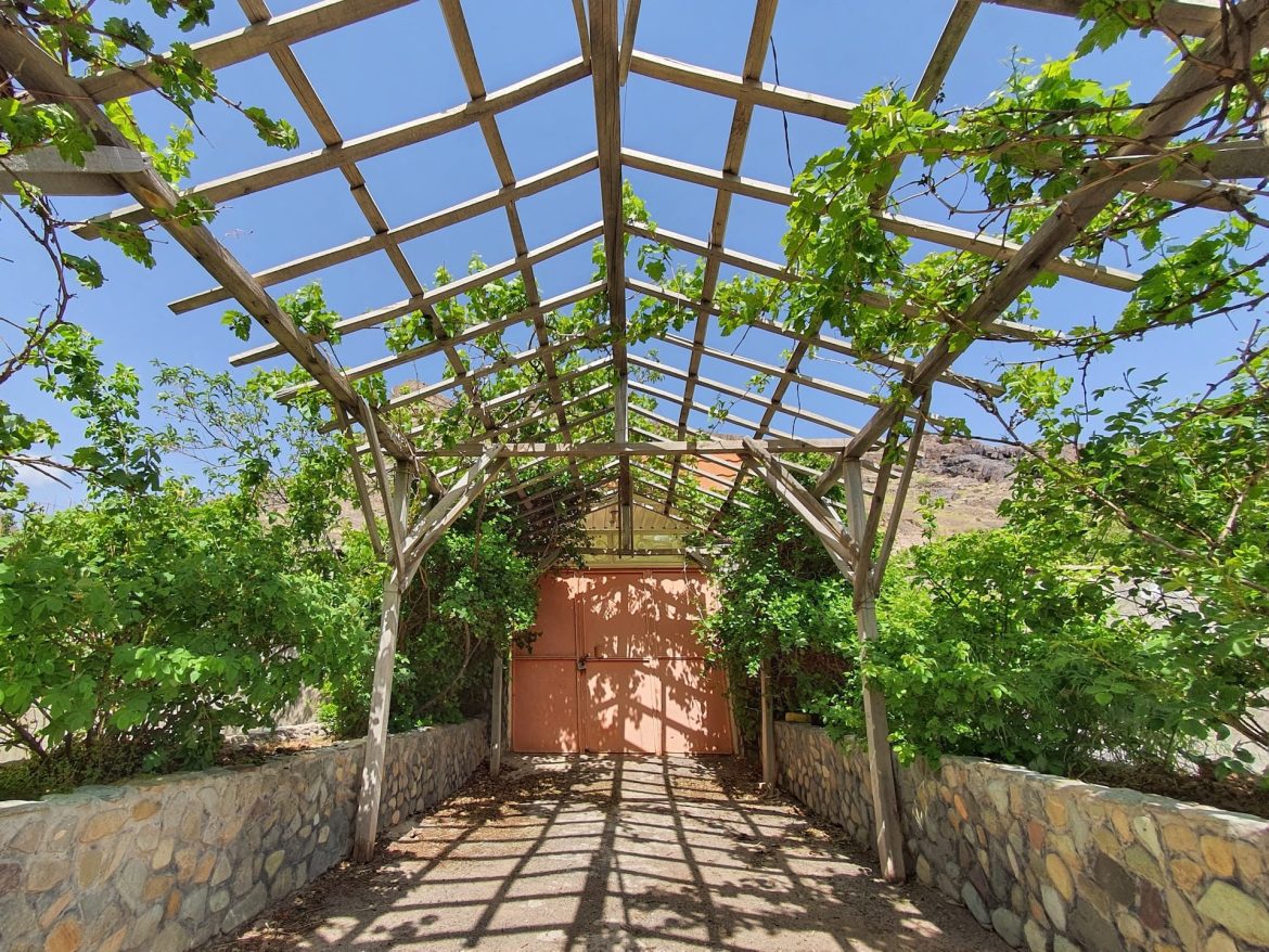 comment construire pergola végétale