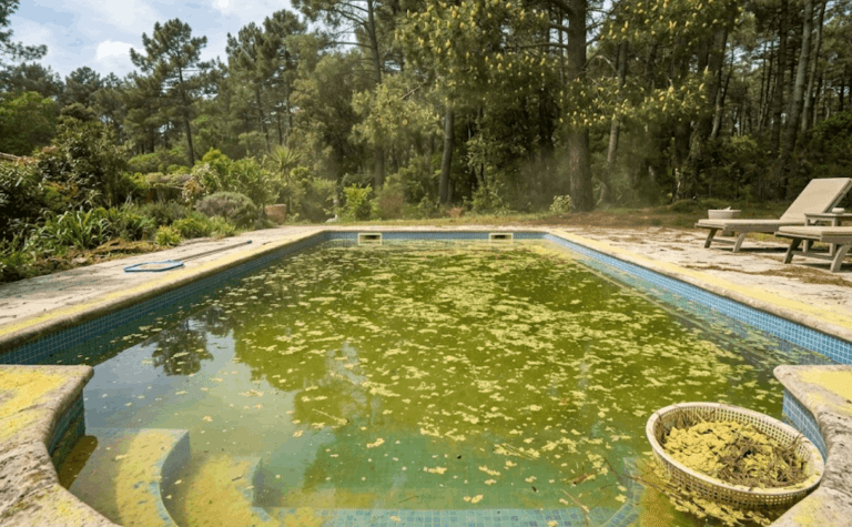 Comment faciliter l’entretien de sa piscine sur le Bassin d’Arcachon ?
